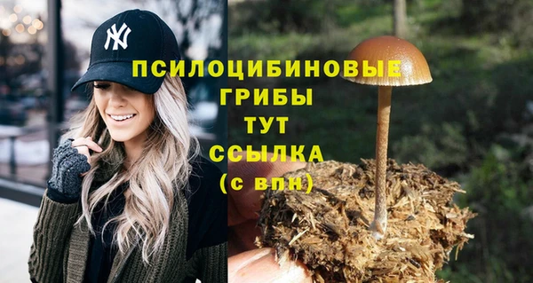 мдма Дмитриев