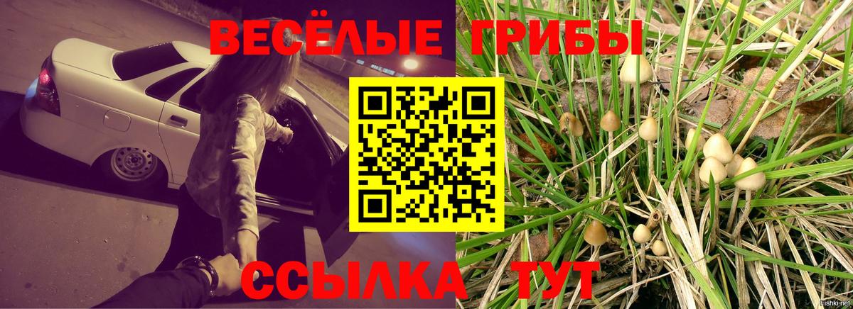 Псилоцибиновые грибы Psilocybe  Вход с VPN  Сафоново 