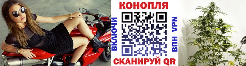 OMG tor  Сафоново  МАРИХУАНА индика  наркота 